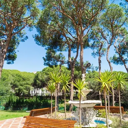 Apartment 1 Line Beachfront With Stunning Sea View